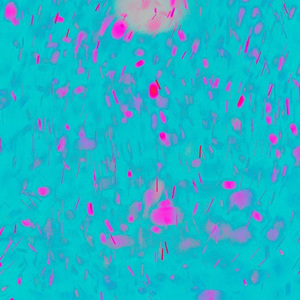 主人用力cao我cao烂我视频
