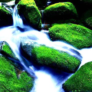 主人用力cao我cao烂我视频
