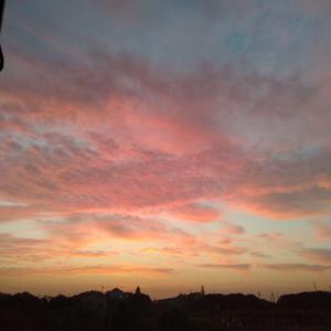 主人用力cao我cao烂我视频
